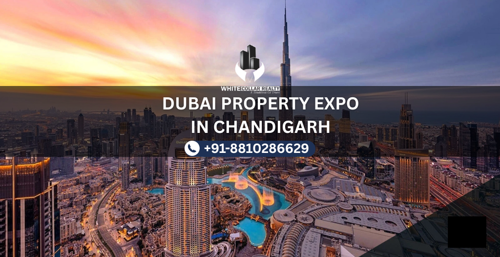 Dubai Property Expo in Chandigarh — White Collar Realty Blog